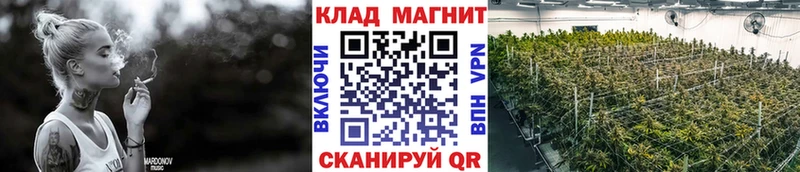 APVP Невельск