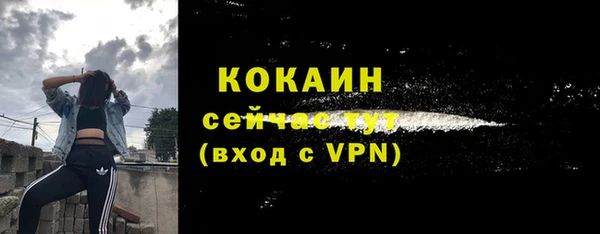 2c-b Инсар