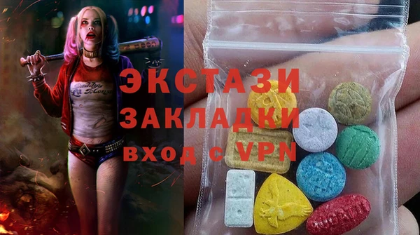 2c-b Инсар