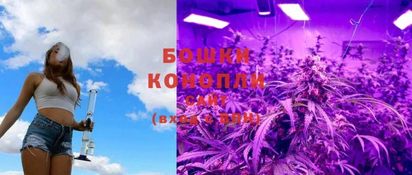 кристаллы Инта