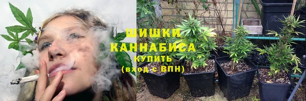 кристаллы Инта