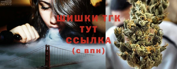 кристаллы Инта