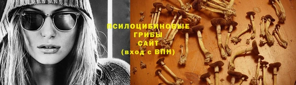 2c-b Инсар