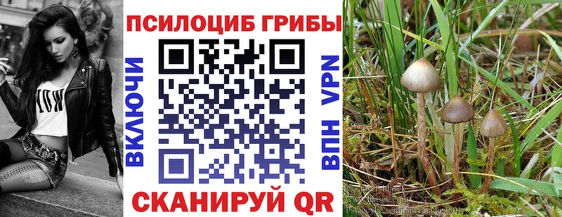 Купить  Невельск  Галлюциногенные грибы ЛСД 